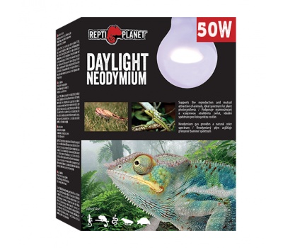 Лампа неодимовая 50W дневного света, Repti Planet от зоомагазина Дино Зоо