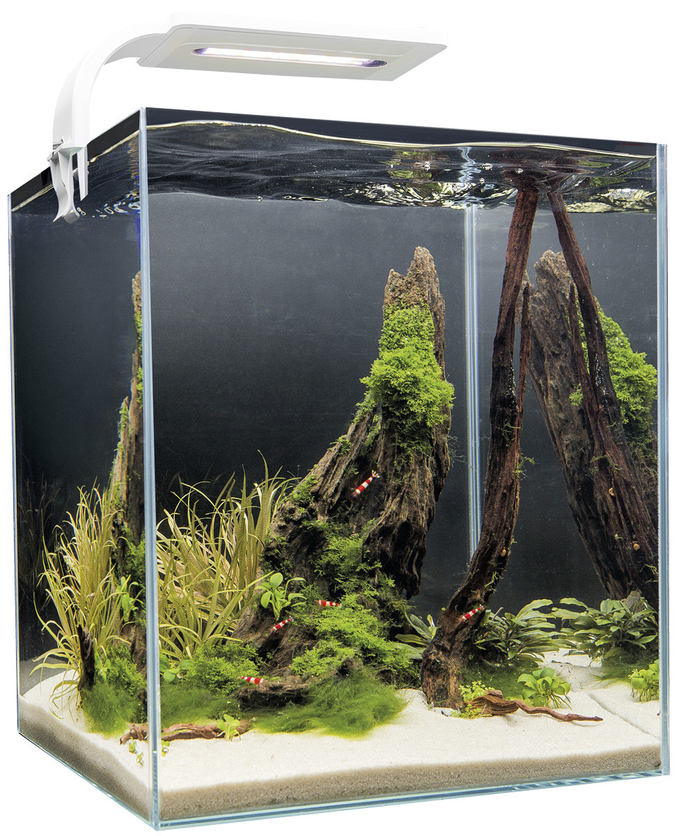 Аквариум SHRIMP SET SMART LED PLANT 10 белый (10л), AquaEl от зоомагазина Дино Зоо