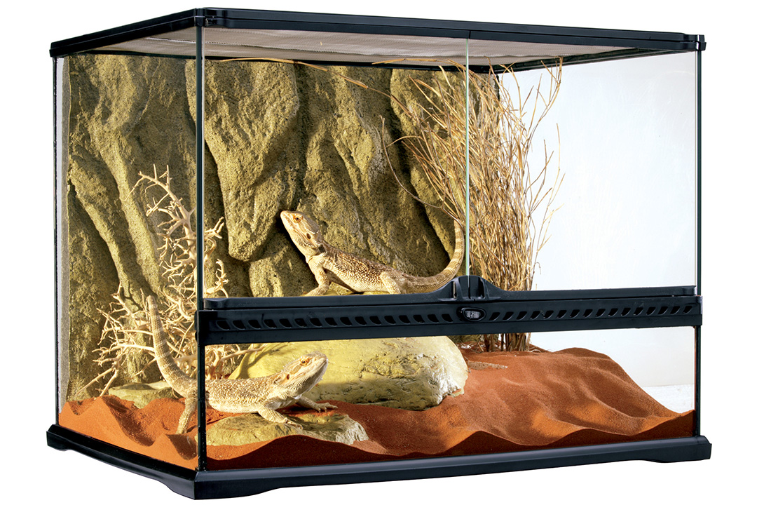 Террариум Exo Terra из силикатного стекла, 60х45х45 см. от зоомагазина Дино Зоо
