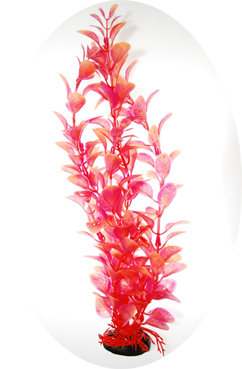 Растение "Людвигия" ярко-розовая, 400мм Laguna от зоомагазина Дино Зоо