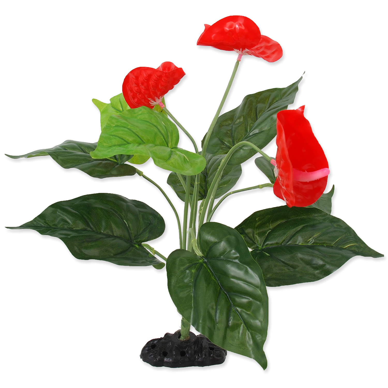 Растение для террариума 40см. цветущее Антуриум, Repti Planet от зоомагазина Дино Зоо
