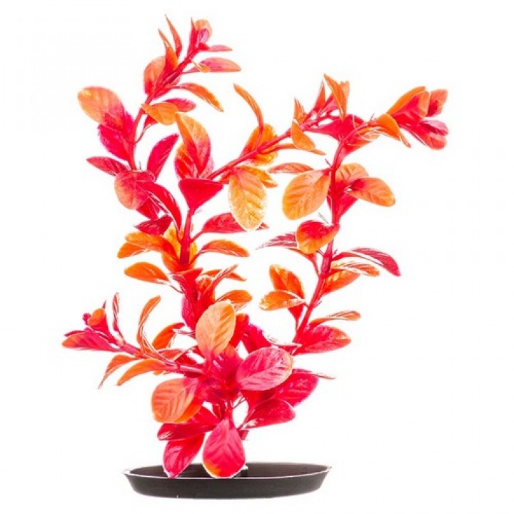 Растение пластиковое красное Людвигия 38 см от зоомагазина Дино Зоо