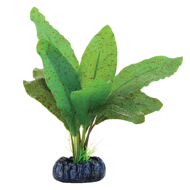 Растение шелковое "Эхинодорус крапчатый", 70мм, (пакет), Laguna