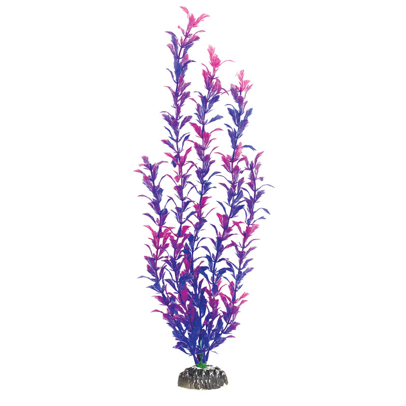 Растение "Людвигия фиолетовая", 400мм Laguna от зоомагазина Дино Зоо