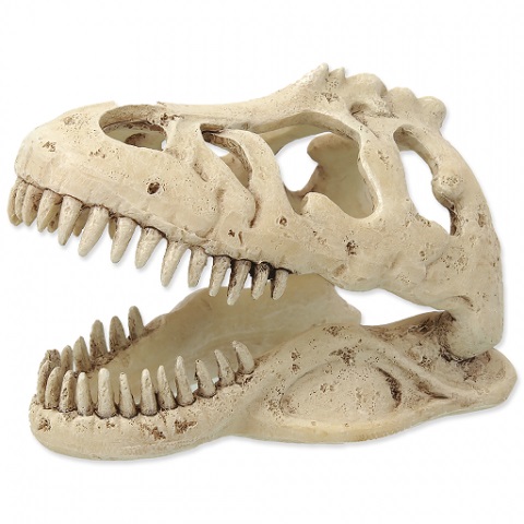 Декор череп Т-Рекса для террариума, Repti Planet от зоомагазина Дино Зоо