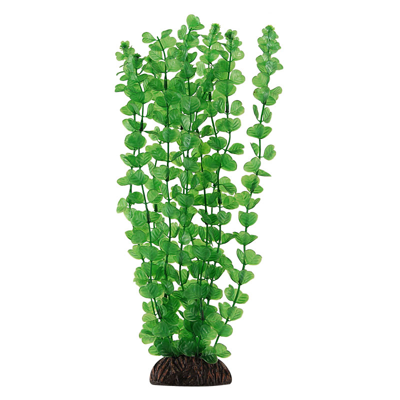 Растение 13139 "Бакопа" зеленая, 100мм