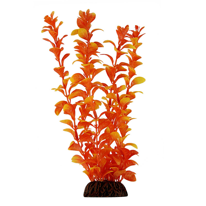 Растение "Людвигия" оранжевая, 100мм Laguna от зоомагазина Дино Зоо