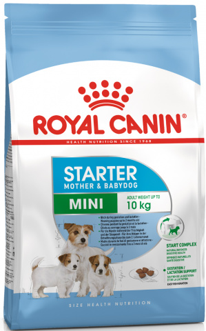 Mini Starter корм для щенков до 2-х месяцев, беременных и кормящих сук, Royal Canin