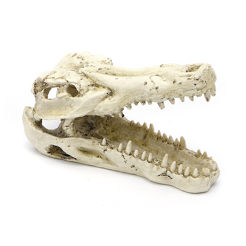 Декор череп крокодила для террариума, Repti Planet от зоомагазина Дино Зоо