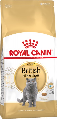 Adult Корм сухой для кошек породы Британская короткошерстная, Royal Canin