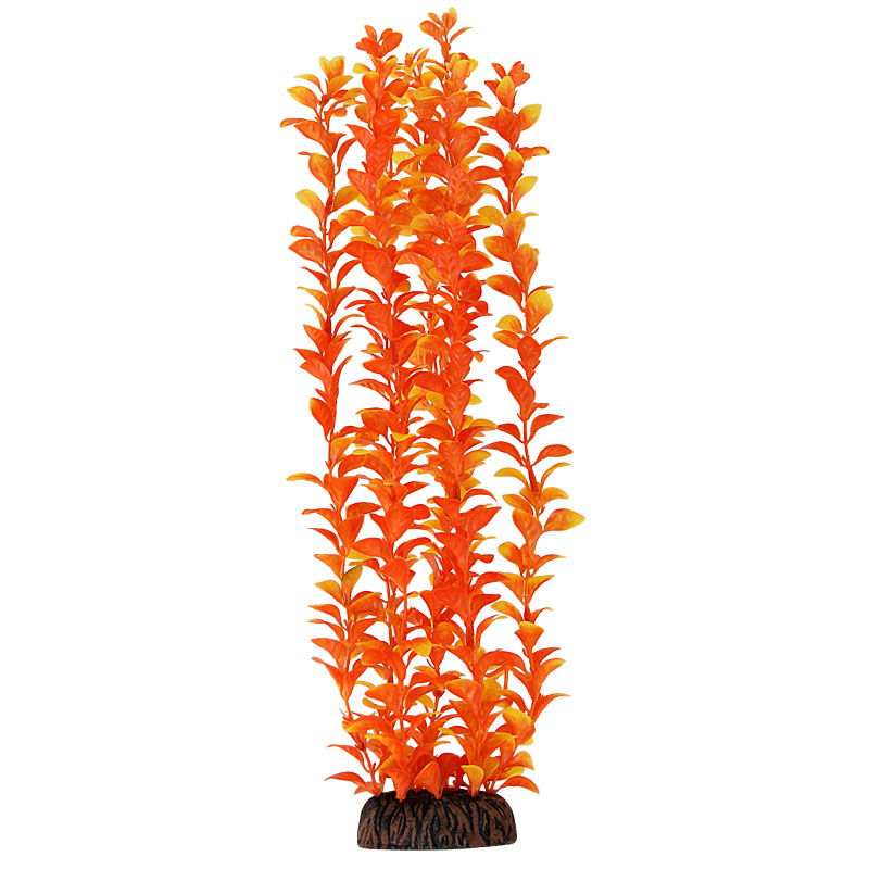 Растение "Людвигия" оранжевая, 400мм Laguna от зоомагазина Дино Зоо
