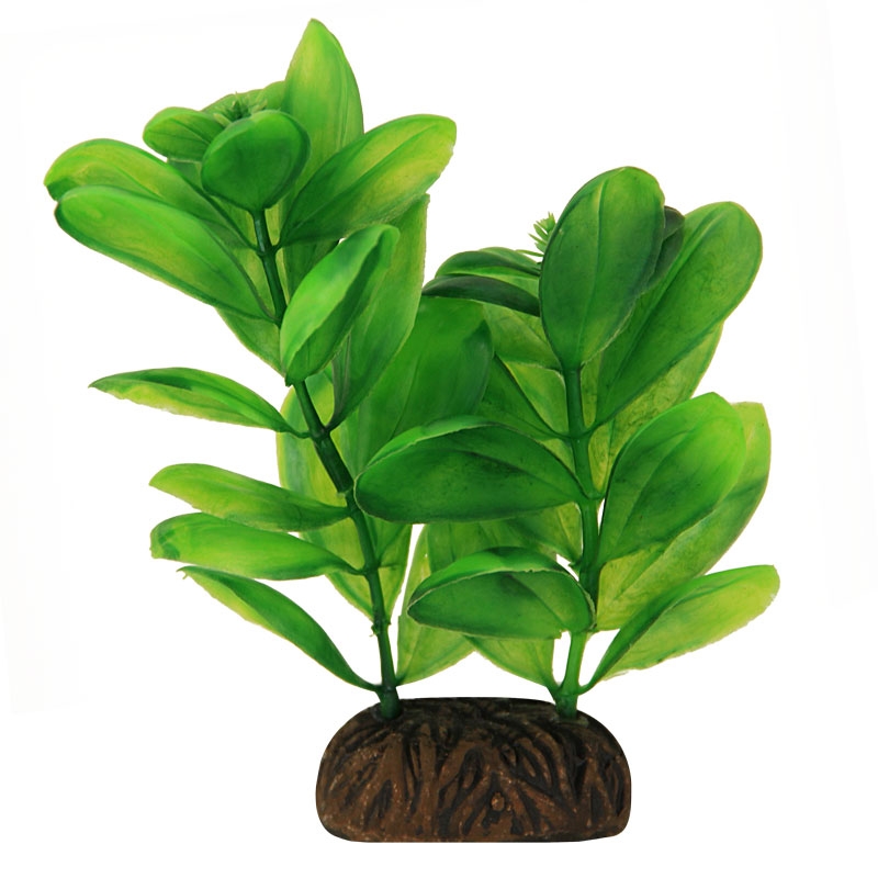 Растение "Самолюс" зеленый, 100мм Laguna
