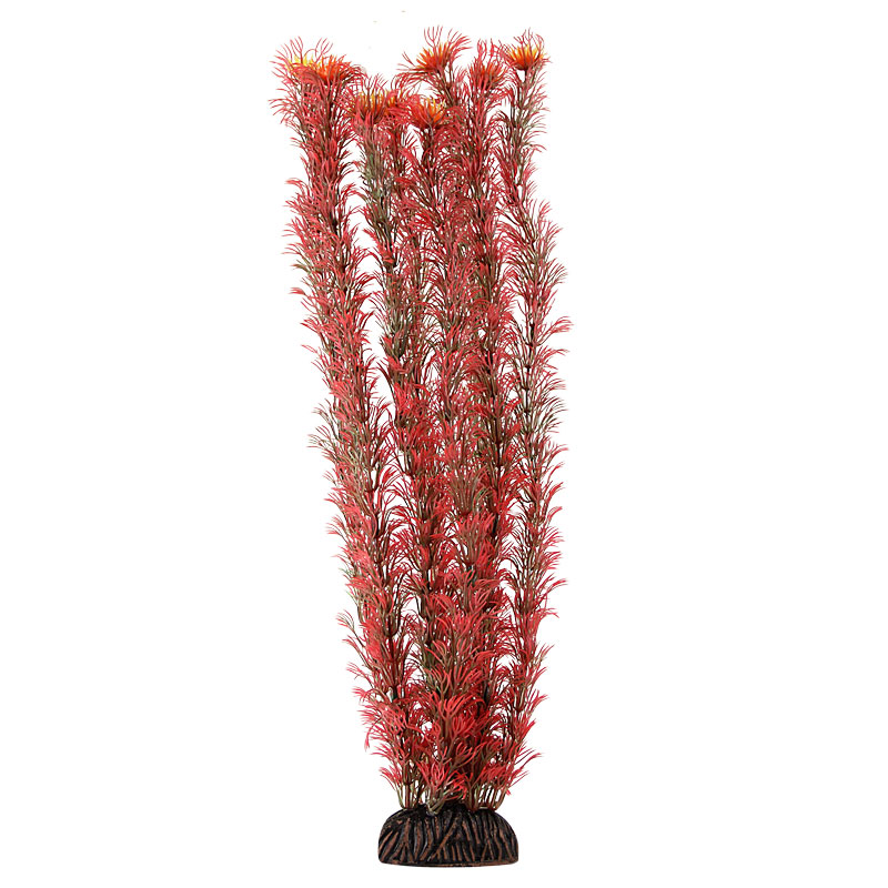 Растение "Амбулия" красная, 400мм Laguna
