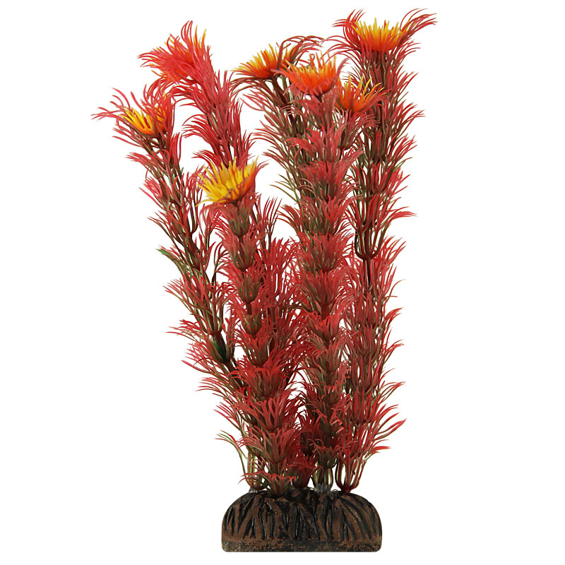 Растение 1399 "Амбулия" красная, 100мм от зоомагазина Дино Зоо