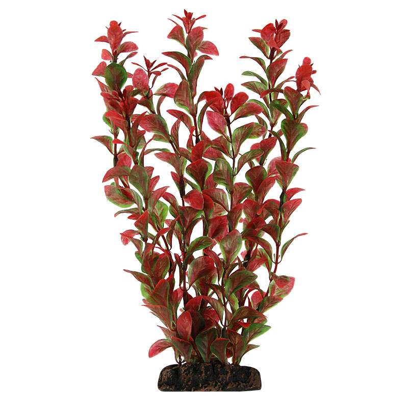 Растение 1394 "Людвигия" красная, 100мм