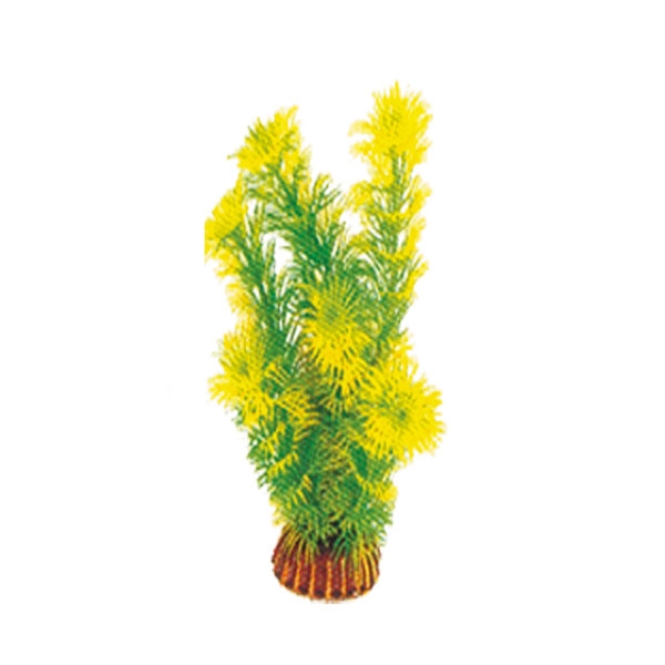 Растение "Амбулия" жёлто-зеленая, 200мм Laguna