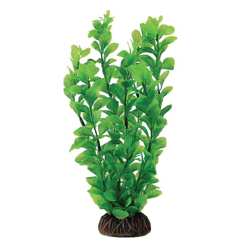Растение 1958 "Людвигия" зеленая, 200мм