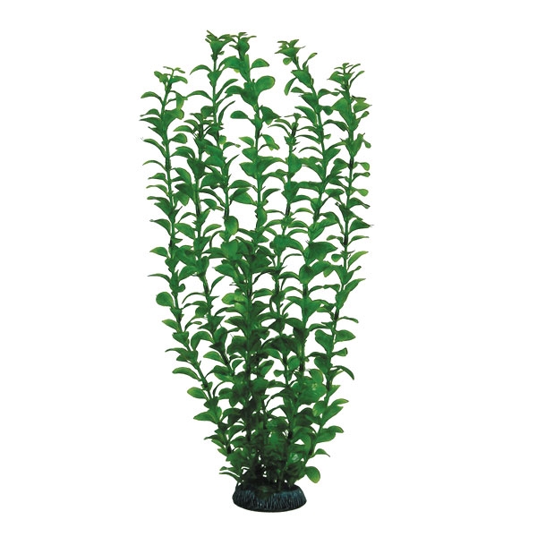 Растение "Людвигия" зеленая, 400мм Laguna